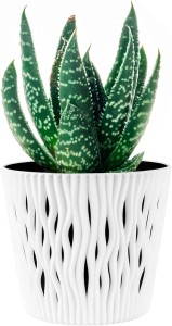 Doniczka sandy round biały DSR190 ogród, salon, taras, ogród zimowy, patio