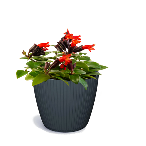 Doniczka Lamia DLAM120 – okrągła elegancka donica antracytowa z rowkami