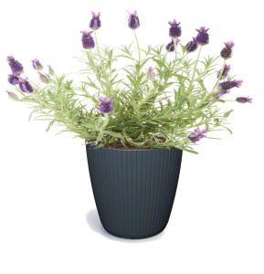 Doniczka Lamia DLAM140 – okrągła antracytowa donica  osłonka z rowkami