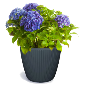 Doniczka Lamia DLAM160 – okrągła antracytowa donica - osłonka