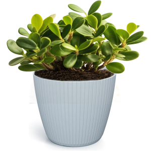 Doniczka  Osłonka Lamia  szary DLAM140 – osłonka 14 cm Prosperplast