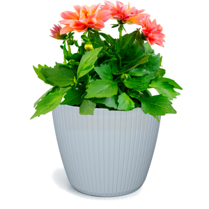 Doniczka Lamia jasny szary DLAM160 16 cm – osłonka Prosperplast