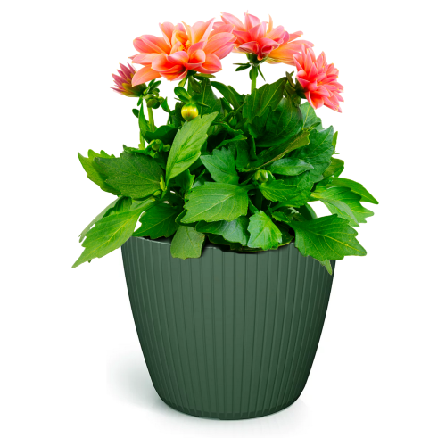 Doniczka osłonka plastikowa Lamia 16 cm zielona do domu i ogrodu