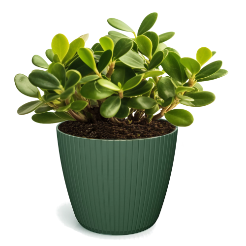 Doniczka Lamia 14 cm butelkowa zieleń DLAM140 – osłonka Prosperplast