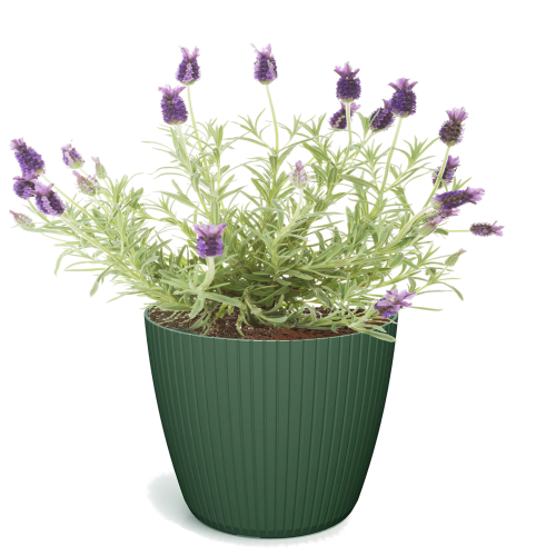 donica osłonka-zielona-hit.png