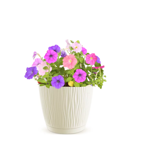 Doniczka Sandy DSY150P kremowa z podstawką – okrągła, 1,6L