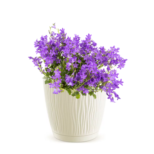 Doniczka Sandy DSY170P kremowa z podstawką – okrągła, 2,3L