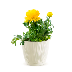 Doniczka Sandy DSY190P kremowa z podstawką – okrągła, 3,3L