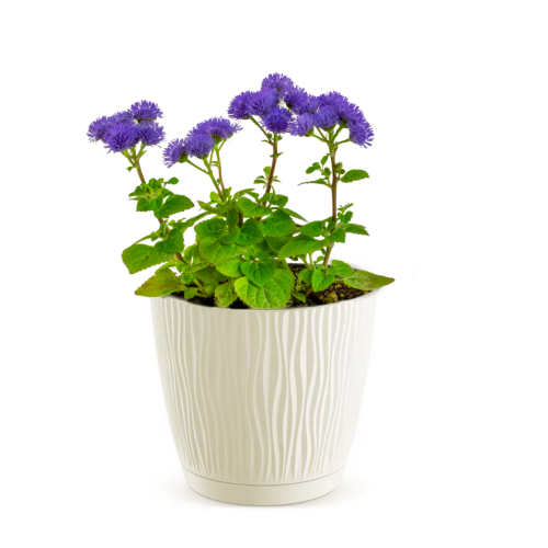 Doniczka kremowa Sandy DSY290P 11,3L z podstawą – okrągła z żłobieniami