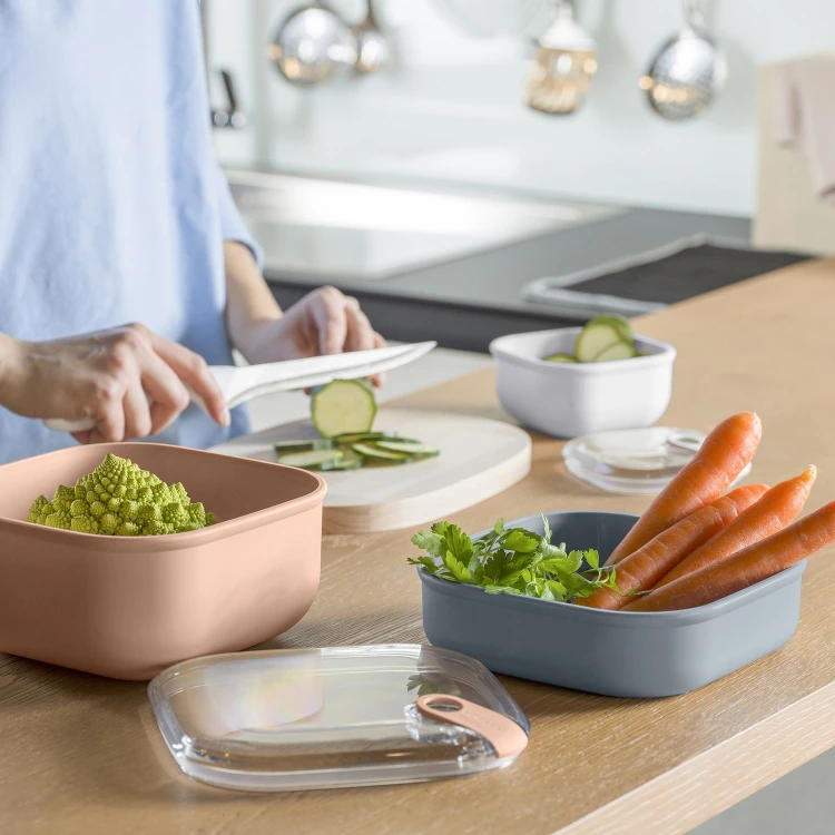 Rotho ELA Lunchbox 0,425L Szczelny Pojemnik na Żywność do Mikrofali
