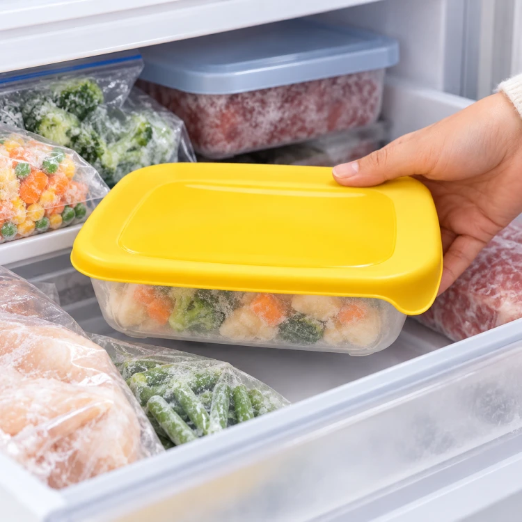 Pojemnik na żywność Curver Fresh&Go 0,5L z pokrywką do lodówki