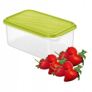 Pojemnik na żywność 2l Rotho Idealne do mrożenia, kuchenki mikrofalowej