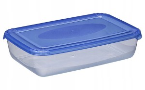 Pojemnik POLAR BOX 0,9L prostokątny 1671 pojemnik na żywność
